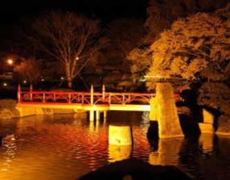 篝火の湯 緑水亭